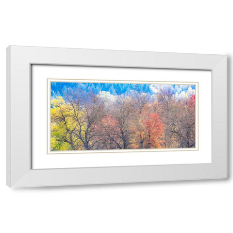 USA-Washington State-Fall City-Pacific Northwest early spring cottonwood White Modern Wood Framed Art Print with Double Matting by Gulin, Sylvia