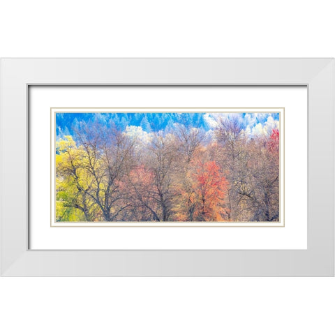 USA-Washington State-Fall City-Pacific Northwest early spring cottonwood White Modern Wood Framed Art Print with Double Matting by Gulin, Sylvia