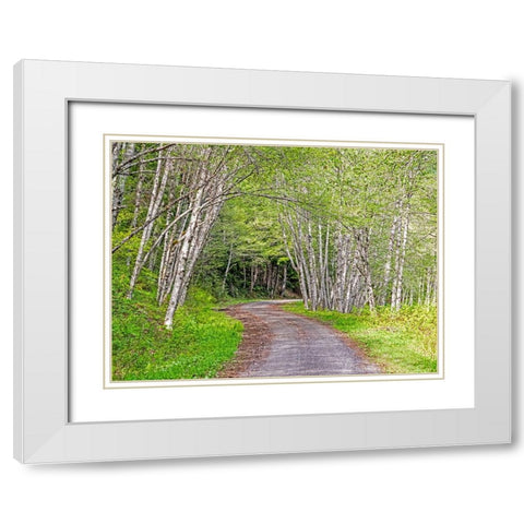 USA-Washington State-Old Cascade Highway off of Highway 2 White Modern Wood Framed Art Print with Double Matting by Gulin, Sylvia