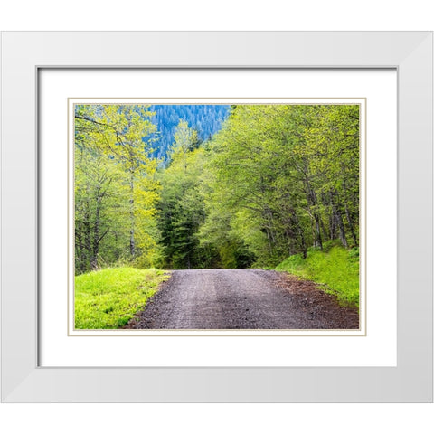 USA-Washington State-Old Cascade Highway off of Highway 2 White Modern Wood Framed Art Print with Double Matting by Gulin, Sylvia