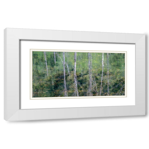 USA-Washington State-Old Cascade Highway off of Highway 2 and pond reflecting alder trees White Modern Wood Framed Art Print with Double Matting by Gulin, Sylvia