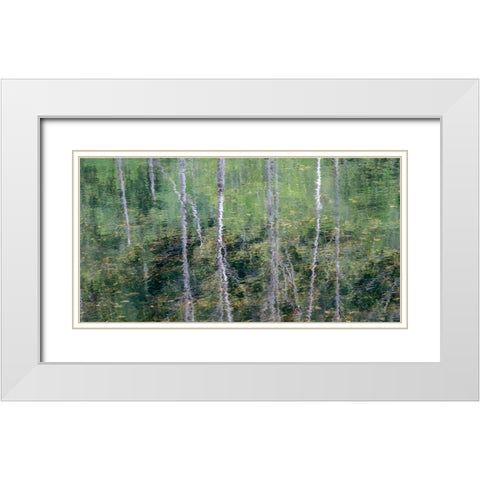 USA-Washington State-Old Cascade Highway off of Highway 2 and pond reflecting alder trees White Modern Wood Framed Art Print with Double Matting by Gulin, Sylvia