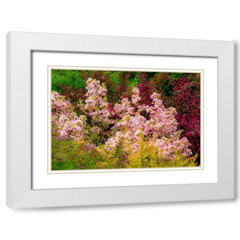 USA-Washington State-Pacific Northwest-Bellevue and the Bellevue Botanical Gardens springtime White Modern Wood Framed Art Print with Double Matting by Gulin, Sylvia