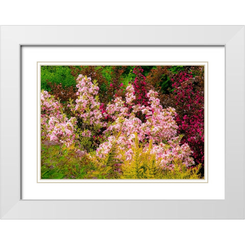 USA-Washington State-Pacific Northwest-Bellevue and the Bellevue Botanical Gardens springtime White Modern Wood Framed Art Print with Double Matting by Gulin, Sylvia