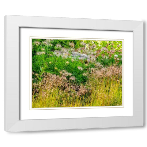USA-Washington State-Pacific Northwest-Bellevue and the Bellevue Botanical Gardens springtime White Modern Wood Framed Art Print with Double Matting by Gulin, Sylvia