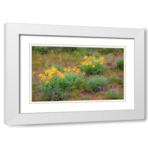 USA-Washington State-Table Mountain eastern Cascade Mountains Balsamroot and Lupine White Modern Wood Framed Art Print with Double Matting by Gulin, Sylvia