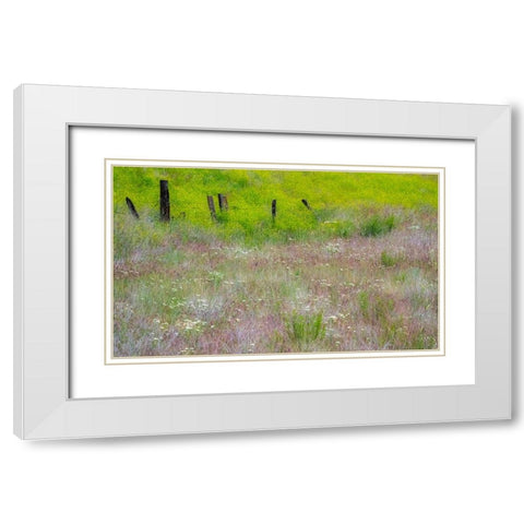 USA-Washington State-Benge Wooden post fence and grasses on rolling hills White Modern Wood Framed Art Print with Double Matting by Gulin, Sylvia