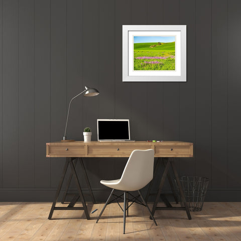 USA-Washington State-Palouse wheat fields and dollar plant in bloom near Pulman White Modern Wood Framed Art Print with Double Matting by Gulin, Sylvia