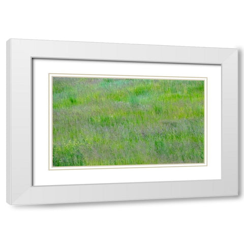 USA-Washington State-Palouse-Eastern Washington Green grass field White Modern Wood Framed Art Print with Double Matting by Gulin, Sylvia