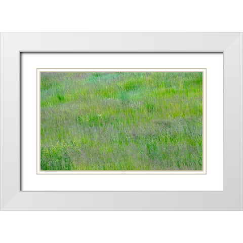 USA-Washington State-Palouse-Eastern Washington Green grass field White Modern Wood Framed Art Print with Double Matting by Gulin, Sylvia
