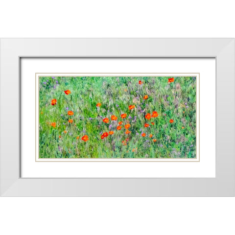USA-Washington State-Palouse and field of red poppies White Modern Wood Framed Art Print with Double Matting by Gulin, Sylvia