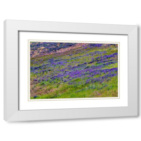 USA-Washington State-Palouse with hillside of vetch White Modern Wood Framed Art Print with Double Matting by Gulin, Sylvia