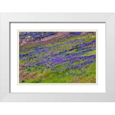 USA-Washington State-Palouse with hillside of vetch White Modern Wood Framed Art Print with Double Matting by Gulin, Sylvia