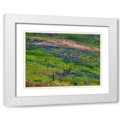 USA-Washington State-Palouse with hillside of vetch White Modern Wood Framed Art Print with Double Matting by Gulin, Sylvia