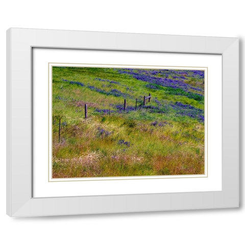 USA-Washington State-Palouse with hillside of vetch White Modern Wood Framed Art Print with Double Matting by Gulin, Sylvia
