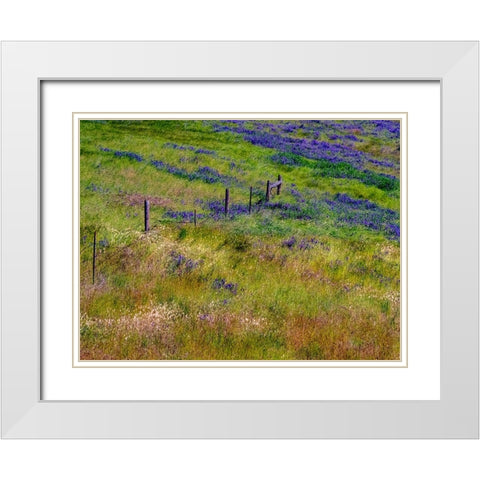 USA-Washington State-Palouse with hillside of vetch White Modern Wood Framed Art Print with Double Matting by Gulin, Sylvia