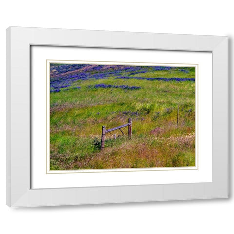 USA-Washington State-Palouse with hillside of vetch White Modern Wood Framed Art Print with Double Matting by Gulin, Sylvia