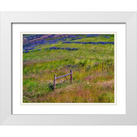 USA-Washington State-Palouse with hillside of vetch White Modern Wood Framed Art Print with Double Matting by Gulin, Sylvia