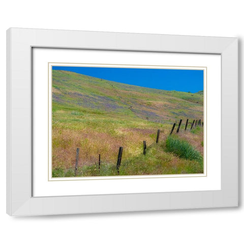 USA-Washington State-Palouse with hillside of vetch White Modern Wood Framed Art Print with Double Matting by Gulin, Sylvia