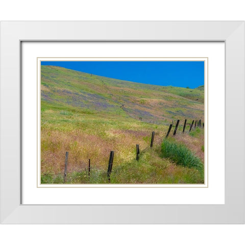 USA-Washington State-Palouse with hillside of vetch White Modern Wood Framed Art Print with Double Matting by Gulin, Sylvia