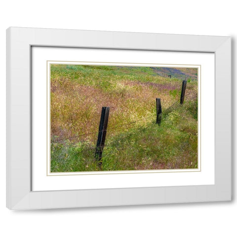 USA-Washington State-Palouse with wooden fence posts in grass field White Modern Wood Framed Art Print with Double Matting by Gulin, Sylvia
