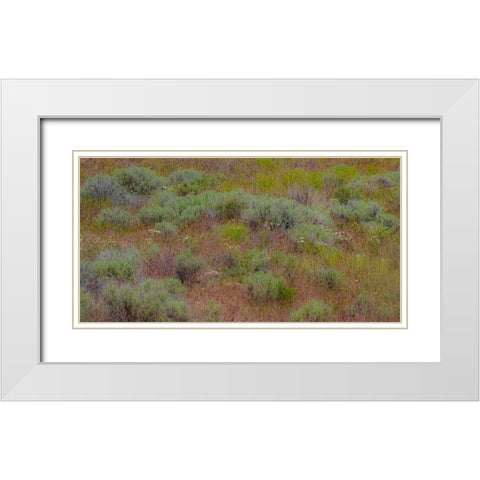 USA-Washington State-Palouse-Colfax and field of sagebrush White Modern Wood Framed Art Print with Double Matting by Gulin, Sylvia