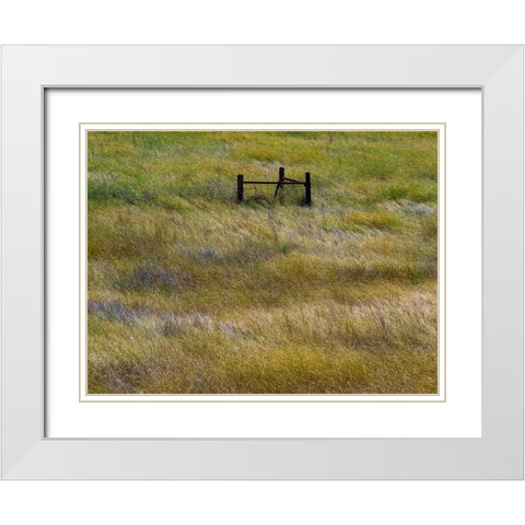 USA-Washington State-Palouse with wooden fence posts in grass field White Modern Wood Framed Art Print with Double Matting by Gulin, Sylvia