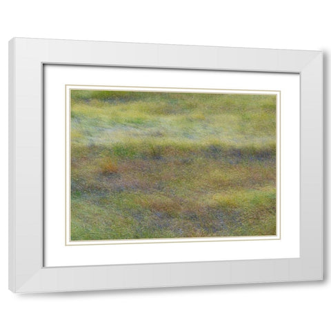 USA-Washington State-Eastern Washington field of wildflowers near Winona White Modern Wood Framed Art Print with Double Matting by Gulin, Sylvia