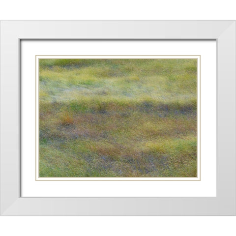 USA-Washington State-Eastern Washington field of wildflowers near Winona White Modern Wood Framed Art Print with Double Matting by Gulin, Sylvia