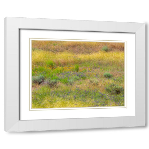 USA-Washington State-Eastern Washington field of wildflowers near Winona White Modern Wood Framed Art Print with Double Matting by Gulin, Sylvia