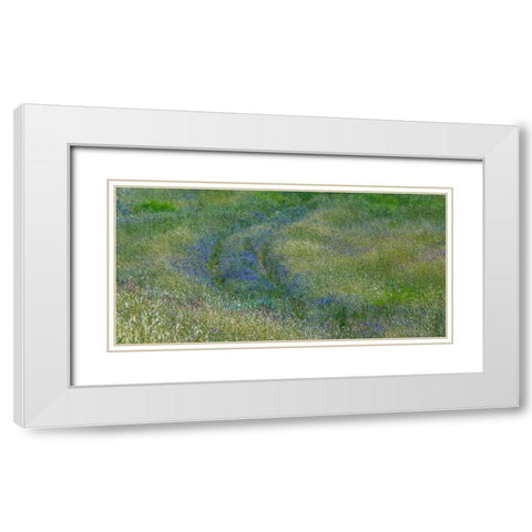 USA-Washington State-Benge Purple vetch in field White Modern Wood Framed Art Print with Double Matting by Gulin, Sylvia