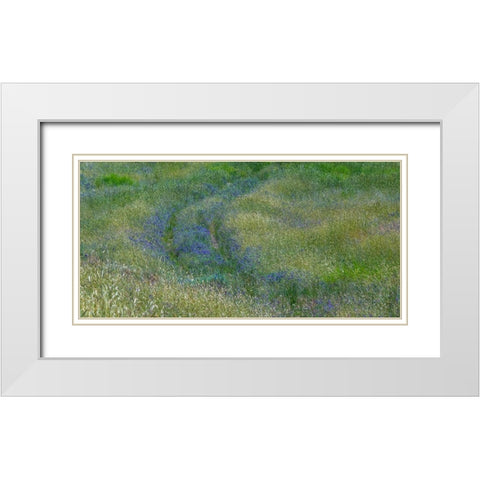 USA-Washington State-Benge Purple vetch in field White Modern Wood Framed Art Print with Double Matting by Gulin, Sylvia