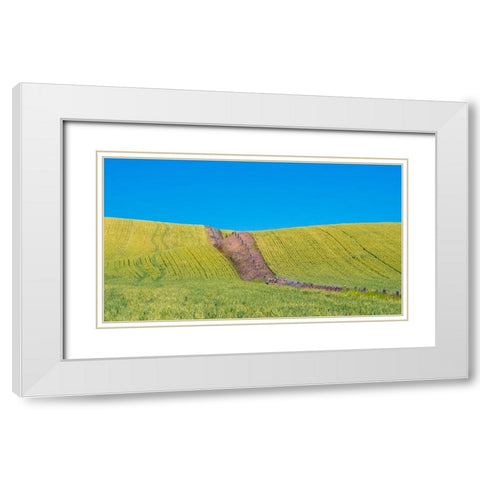 USA-Washington State-Winona winter wheat with fence line running through middle of field White Modern Wood Framed Art Print with Double Matting by Gulin, Sylvia