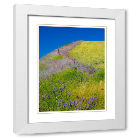 USA-Washington State-Winona winter wheat with fence line and foreground of vetch White Modern Wood Framed Art Print with Double Matting by Gulin, Sylvia