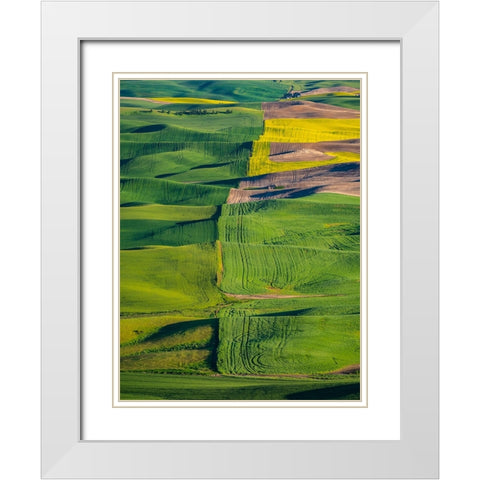 USA-Washington State-Palouse and Steptoe Butte State Park view of Wheat and Canola White Modern Wood Framed Art Print with Double Matting by Gulin, Sylvia