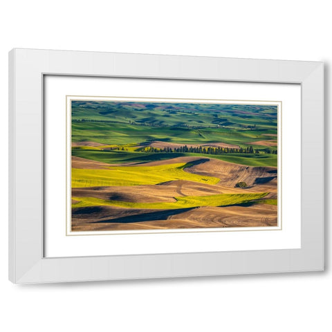USA-Washington State-Palouse and Steptoe Butte State Park view of Wheat and Canola White Modern Wood Framed Art Print with Double Matting by Gulin, Sylvia