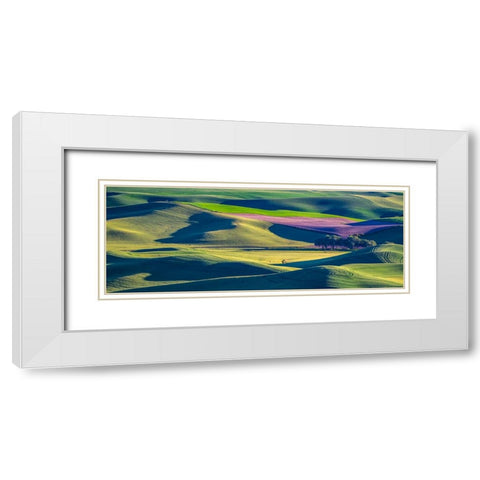 USA-Washington State-Palouse and Steptoe Butte State Park view of Wheat and Canola White Modern Wood Framed Art Print with Double Matting by Gulin, Sylvia