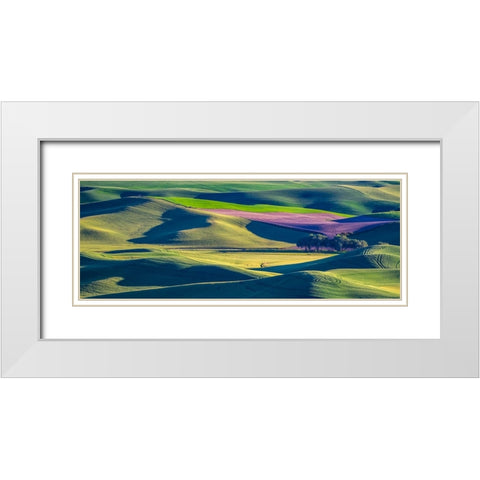 USA-Washington State-Palouse and Steptoe Butte State Park view of Wheat and Canola White Modern Wood Framed Art Print with Double Matting by Gulin, Sylvia