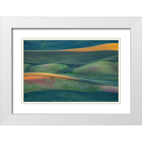USA-Washington State-Palouse and Steptoe Butte State Park view of Wheat fields last light White Modern Wood Framed Art Print with Double Matting by Gulin, Sylvia