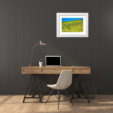 USA-Washington State-Palouse grass fields that were not being farmed White Modern Wood Framed Art Print with Double Matting by Gulin, Sylvia