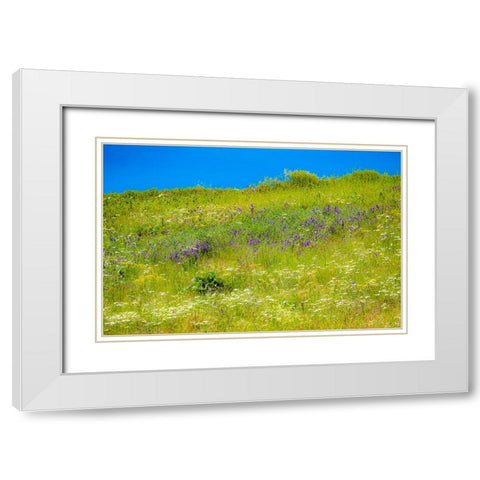 USA-Washington State-Palouse grass fields that were not being farmed White Modern Wood Framed Art Print with Double Matting by Gulin, Sylvia