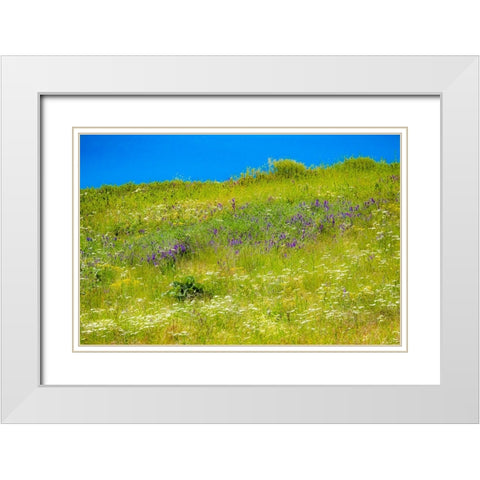 USA-Washington State-Palouse grass fields that were not being farmed White Modern Wood Framed Art Print with Double Matting by Gulin, Sylvia