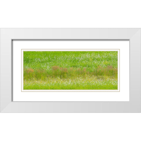 USA-Washington State-Palouse grass fields that were not being farmed White Modern Wood Framed Art Print with Double Matting by Gulin, Sylvia