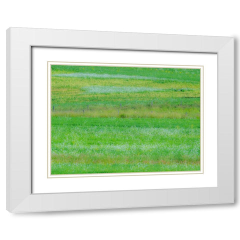 USA-Washington State-Palouse grass fields that were not being farmed White Modern Wood Framed Art Print with Double Matting by Gulin, Sylvia