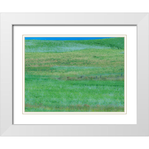 USA-Washington State-Palouse grass fields that were not being farmed White Modern Wood Framed Art Print with Double Matting by Gulin, Sylvia