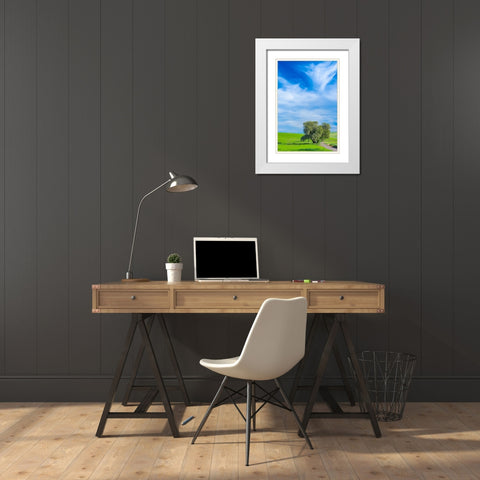 USA-Washington State-Palouse with wheat fields and lone Cottonwood tree White Modern Wood Framed Art Print with Double Matting by Gulin, Sylvia