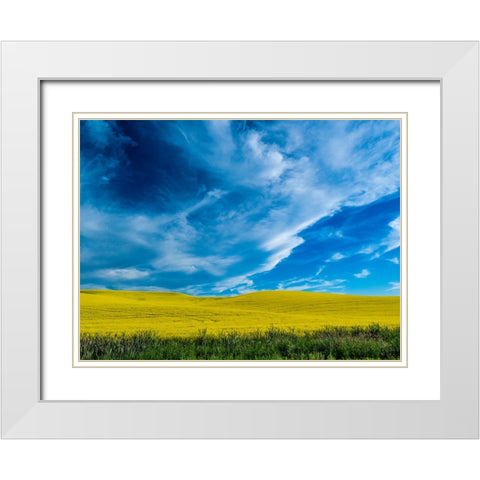 USA-Washington State-Palouse and springtime crop of Canola White Modern Wood Framed Art Print with Double Matting by Gulin, Sylvia