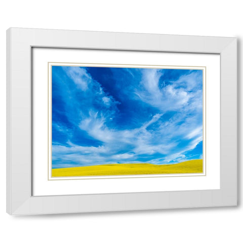 USA-Washington State-Palouse and springtime crop of Canola White Modern Wood Framed Art Print with Double Matting by Gulin, Sylvia