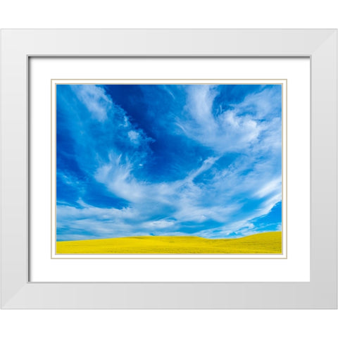 USA-Washington State-Palouse and springtime crop of Canola White Modern Wood Framed Art Print with Double Matting by Gulin, Sylvia
