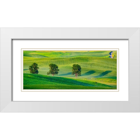 USA-Washington State-Palouse with three cottonwoods in field of green Winter Wheat White Modern Wood Framed Art Print with Double Matting by Gulin, Sylvia